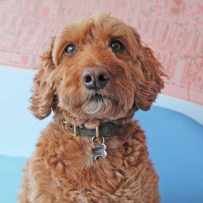 Milo
